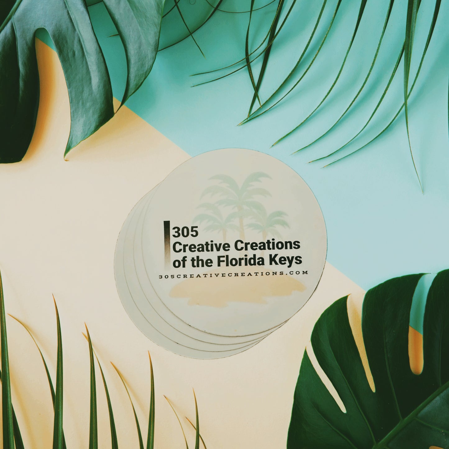 305 CC — Palms