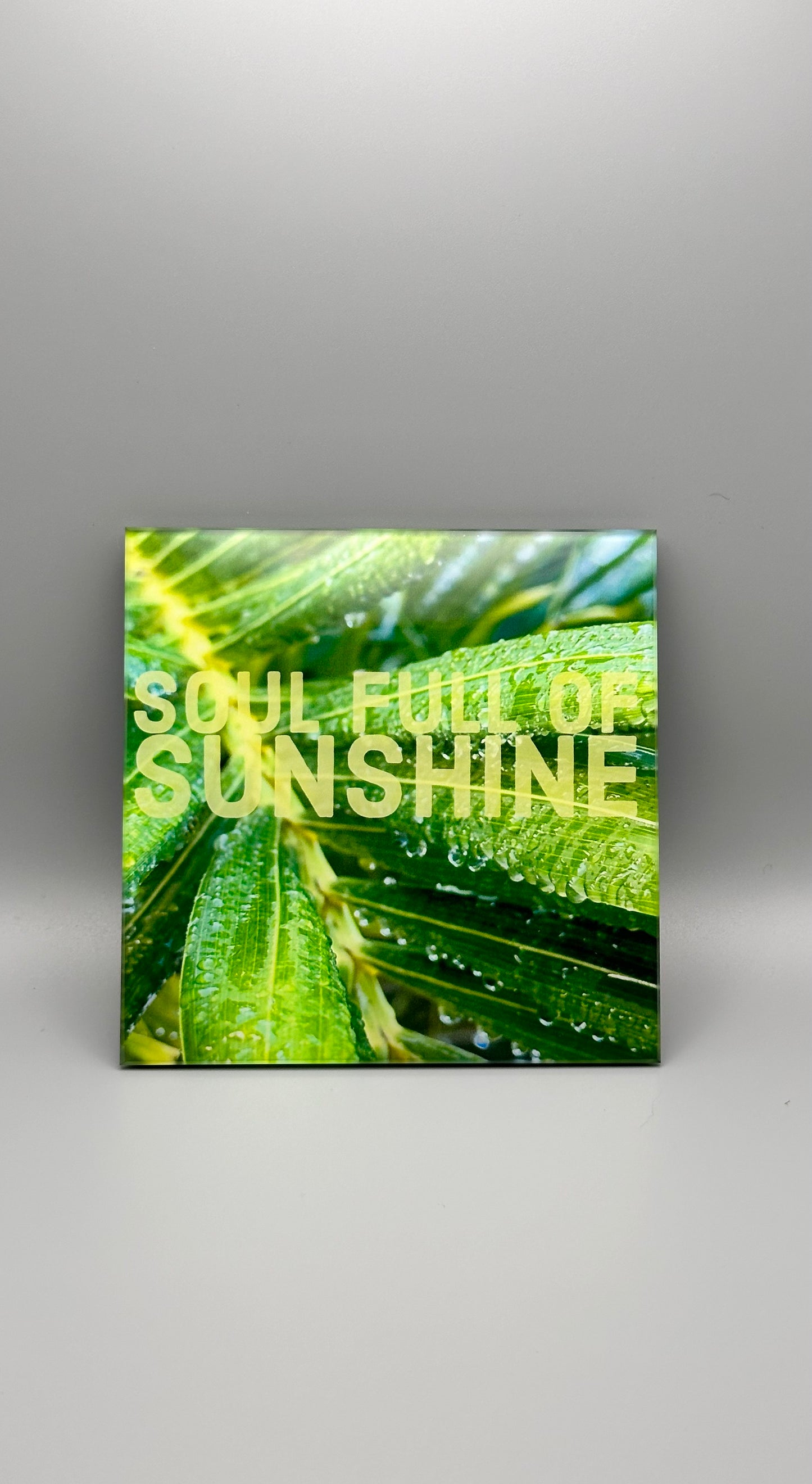 Sunshine Soul
