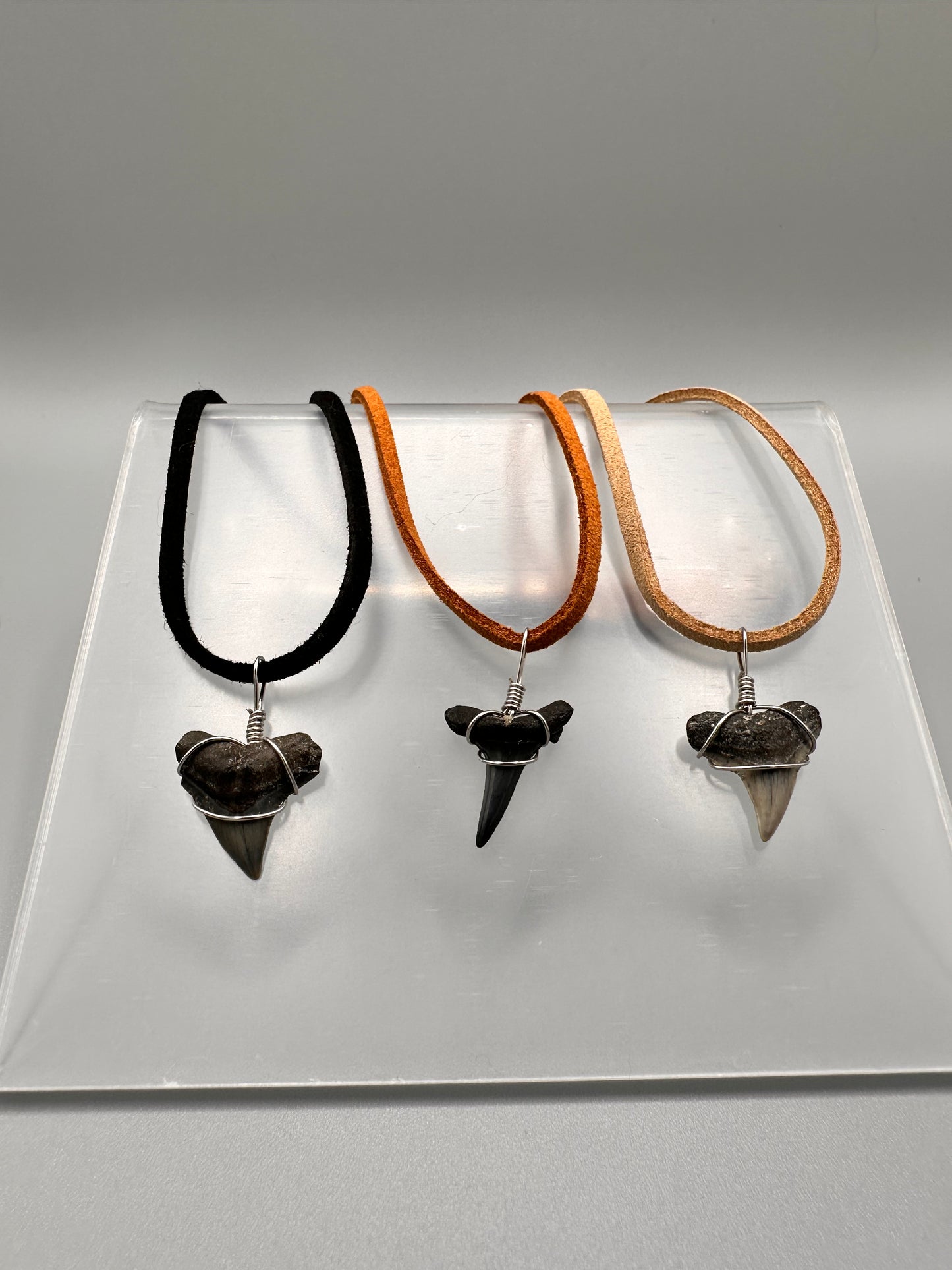 Shark Tooth Necklace