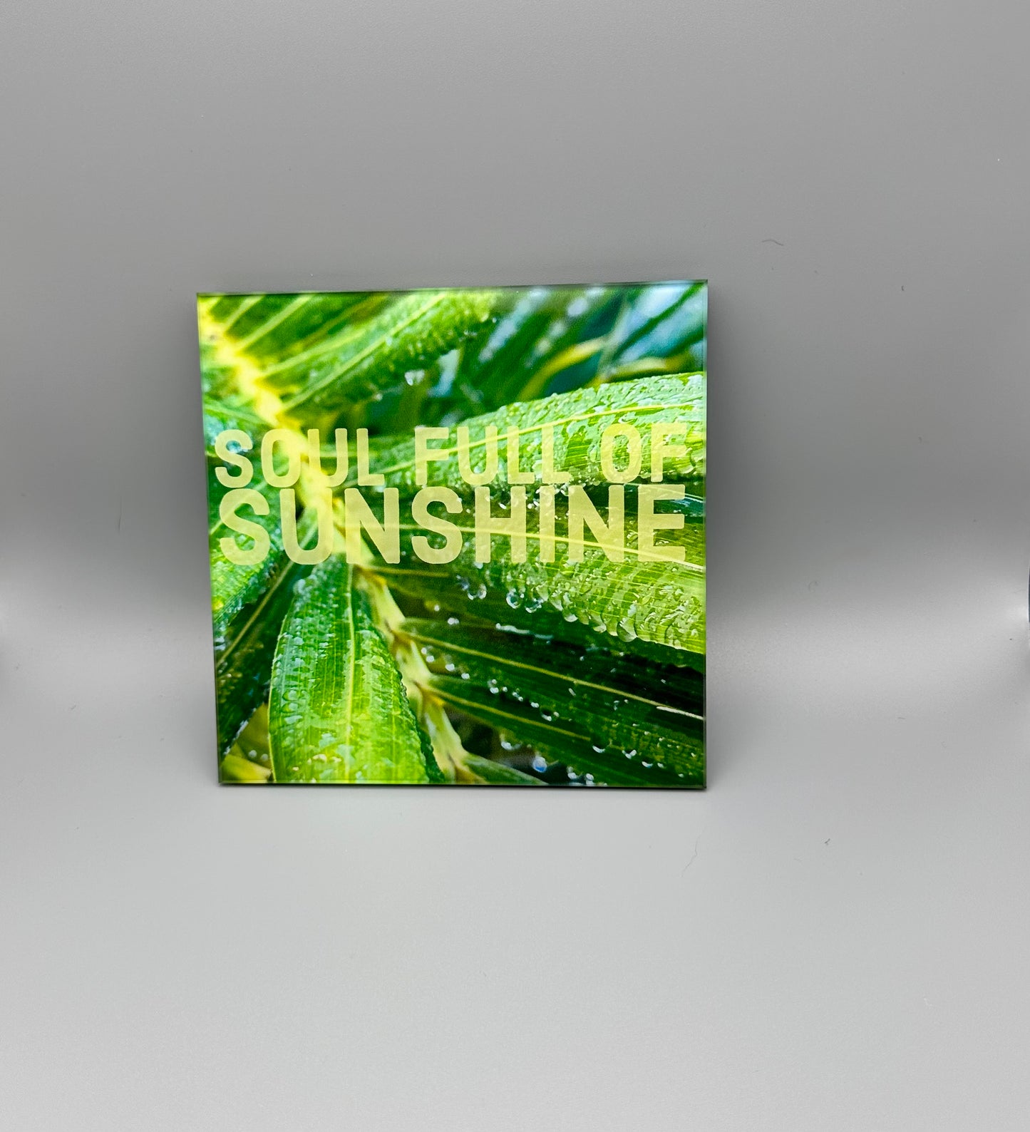 Sunshine Soul