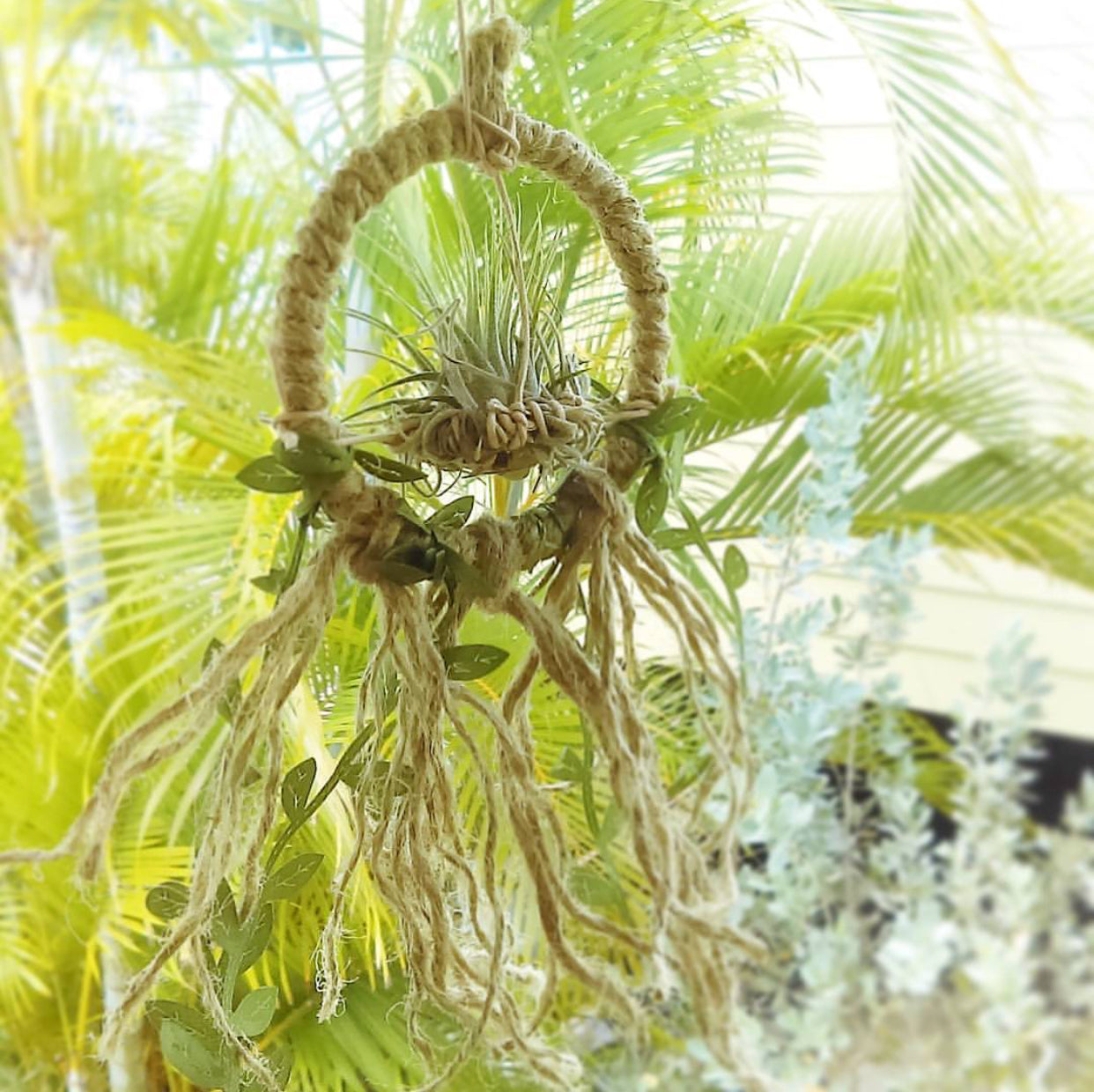 Airy Island Dreams